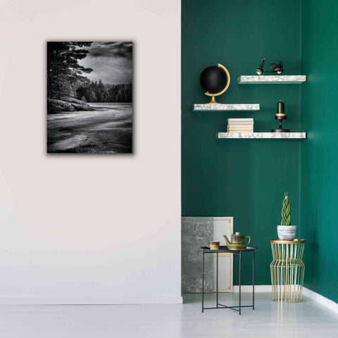 Image of 'Gullwing Lake No 4' by Brian Carson, Giclee Canvas Wall Art,26 x 34
