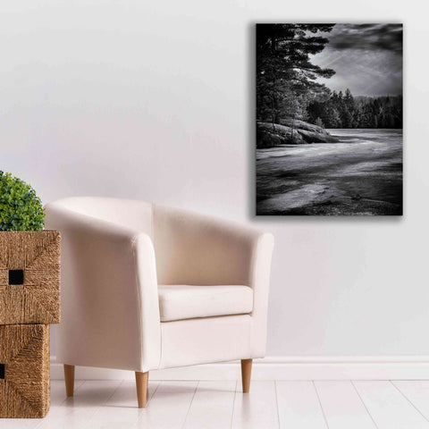 Image of 'Gullwing Lake No 4' by Brian Carson, Giclee Canvas Wall Art,26 x 34