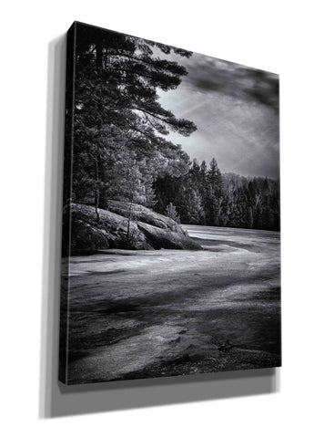 Image of 'Gullwing Lake No 4' by Brian Carson, Giclee Canvas Wall Art