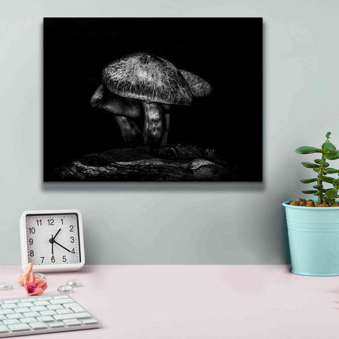 Image of 'Toadstools On A Trail No 1' by Brian Carson, Giclee Canvas Wall Art,16 x 12
