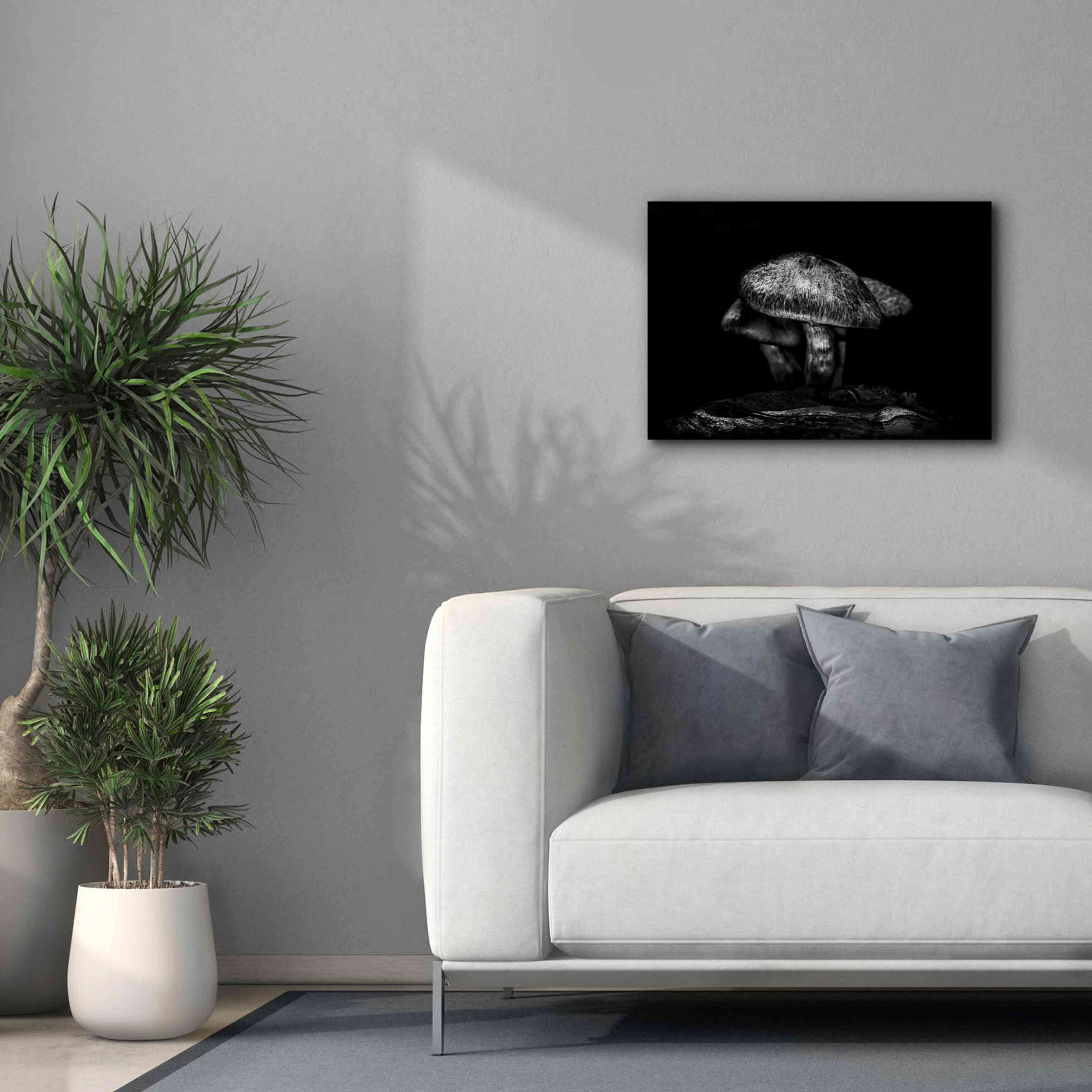 'Toadstools On A Trail No 1' by Brian Carson, Giclee Canvas Wall Art,26 x 18