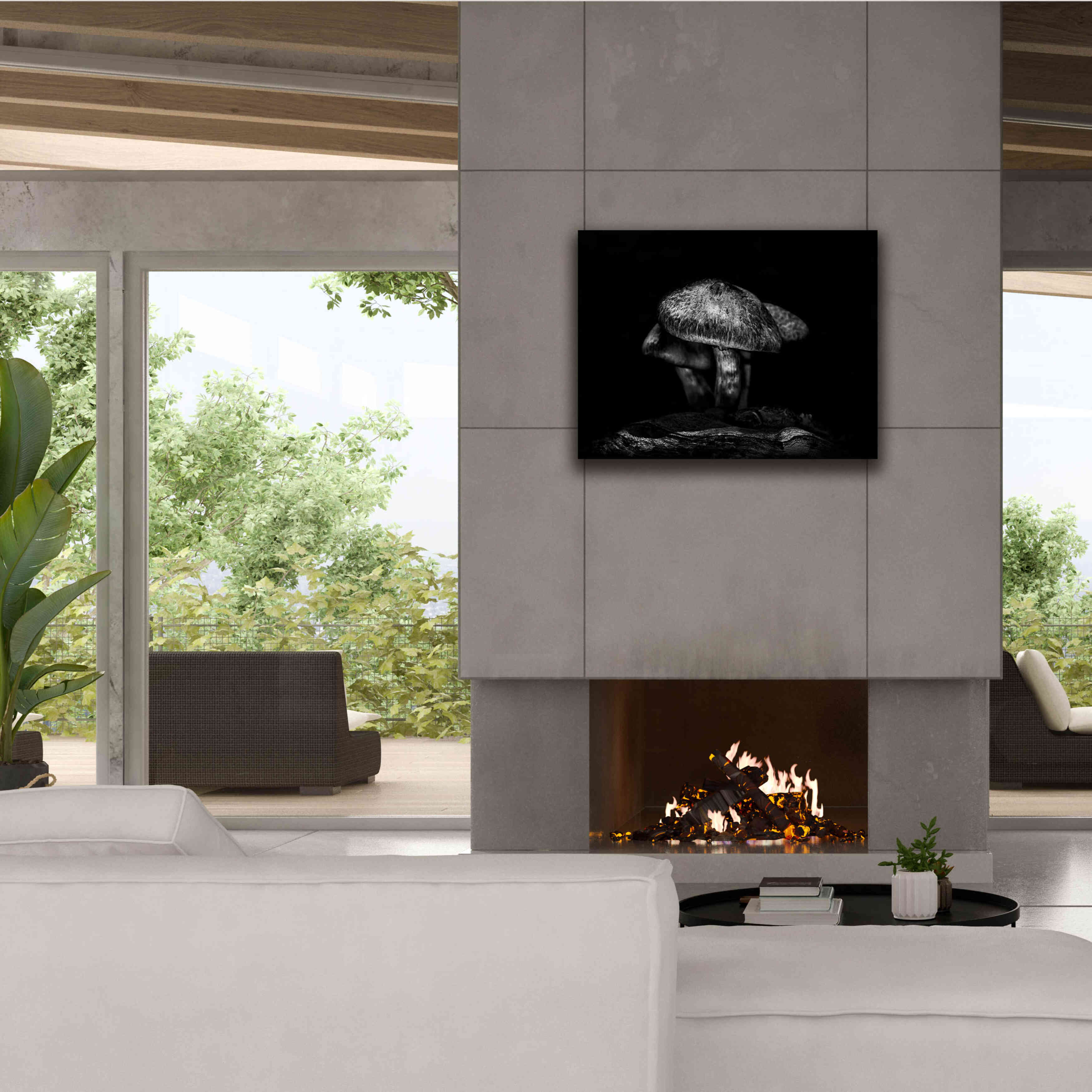 'Toadstools On A Trail No 1' by Brian Carson, Giclee Canvas Wall Art,34 x 26