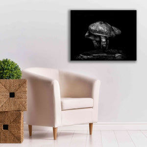 'Toadstools On A Trail No 1' by Brian Carson, Giclee Canvas Wall Art,34 x 26