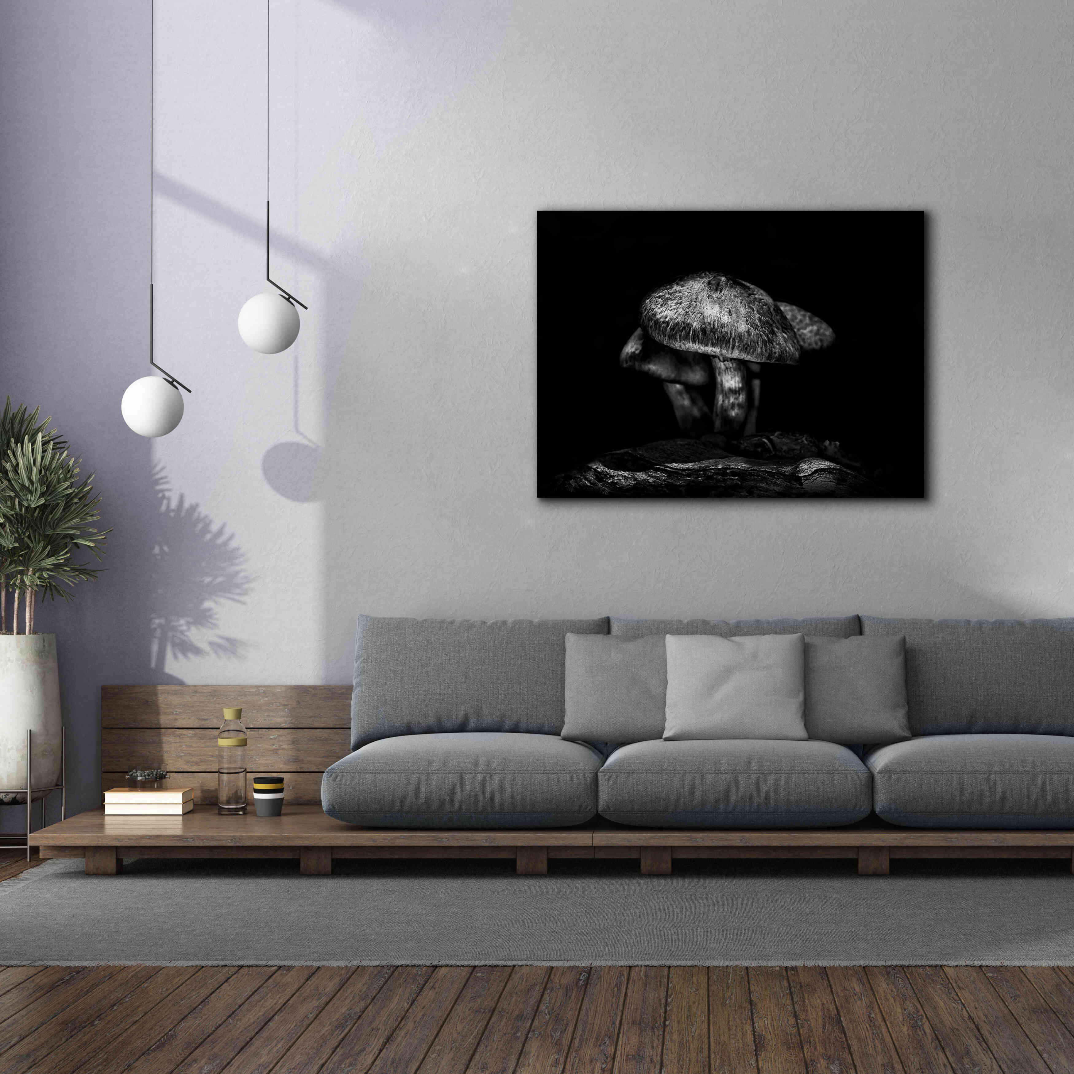 'Toadstools On A Trail No 1' by Brian Carson, Giclee Canvas Wall Art,54 x 40