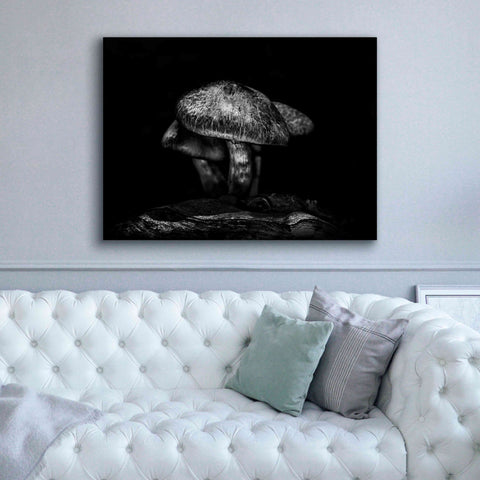 Image of 'Toadstools On A Trail No 1' by Brian Carson, Giclee Canvas Wall Art,54 x 40