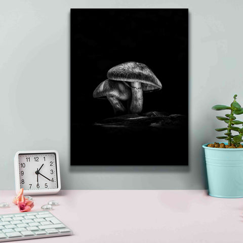 Image of 'Toadstools On A Trail No 2' by Brian Carson, Giclee Canvas Wall Art,12 x 16