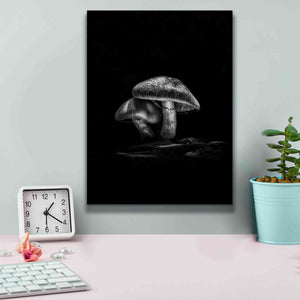 'Toadstools On A Trail No 2' by Brian Carson, Giclee Canvas Wall Art,12 x 16