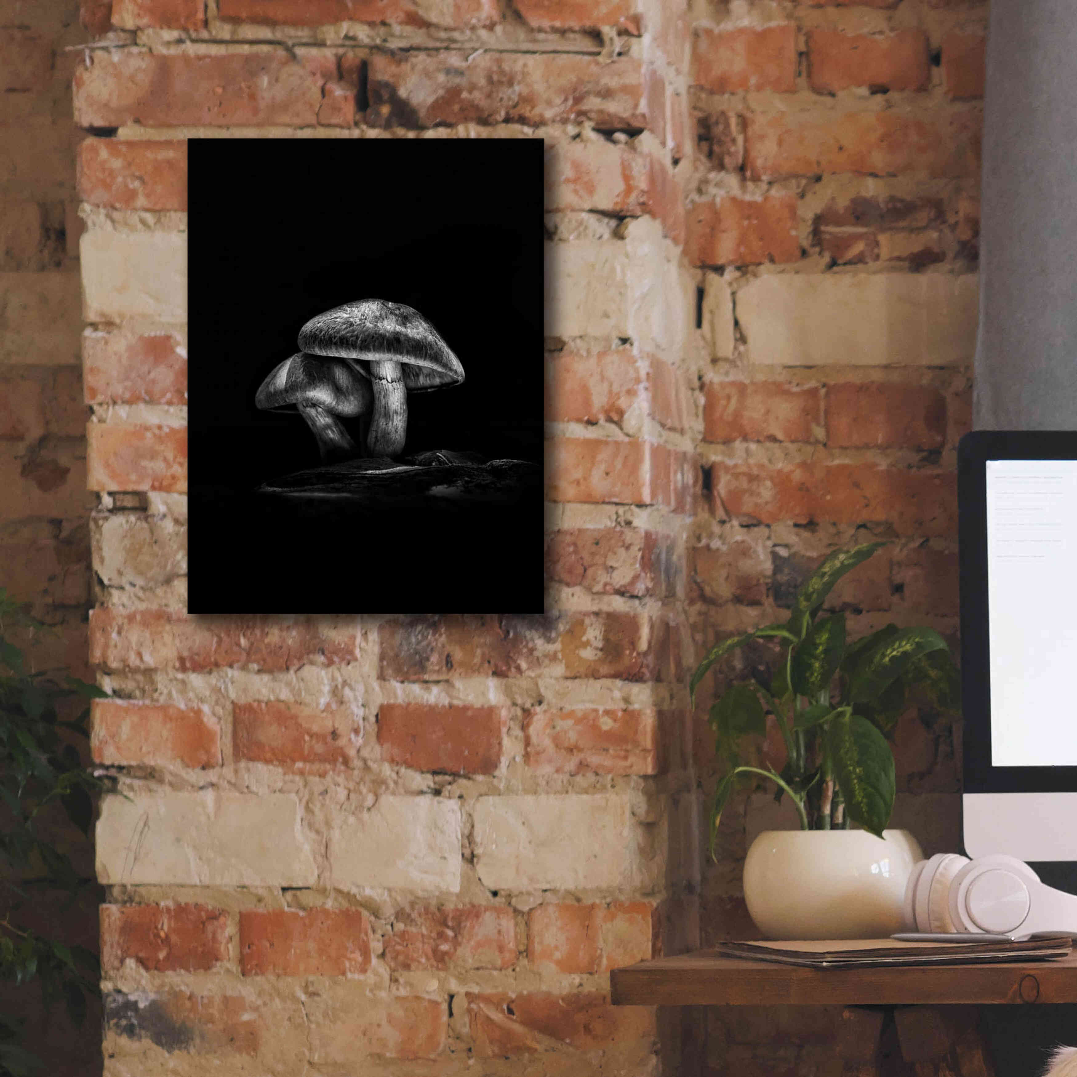 'Toadstools On A Trail No 2' by Brian Carson, Giclee Canvas Wall Art,12 x 16