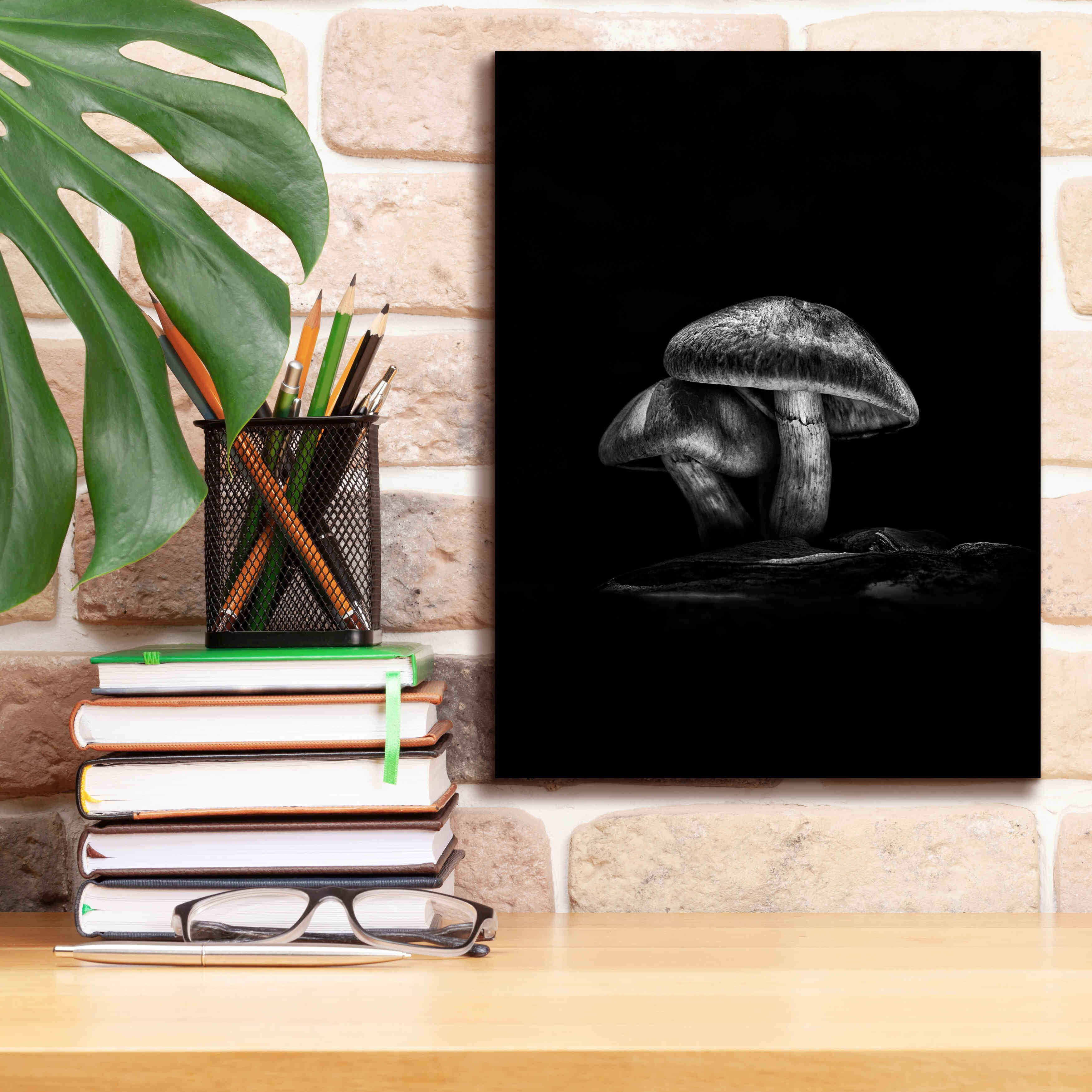 'Toadstools On A Trail No 2' by Brian Carson, Giclee Canvas Wall Art,12 x 16