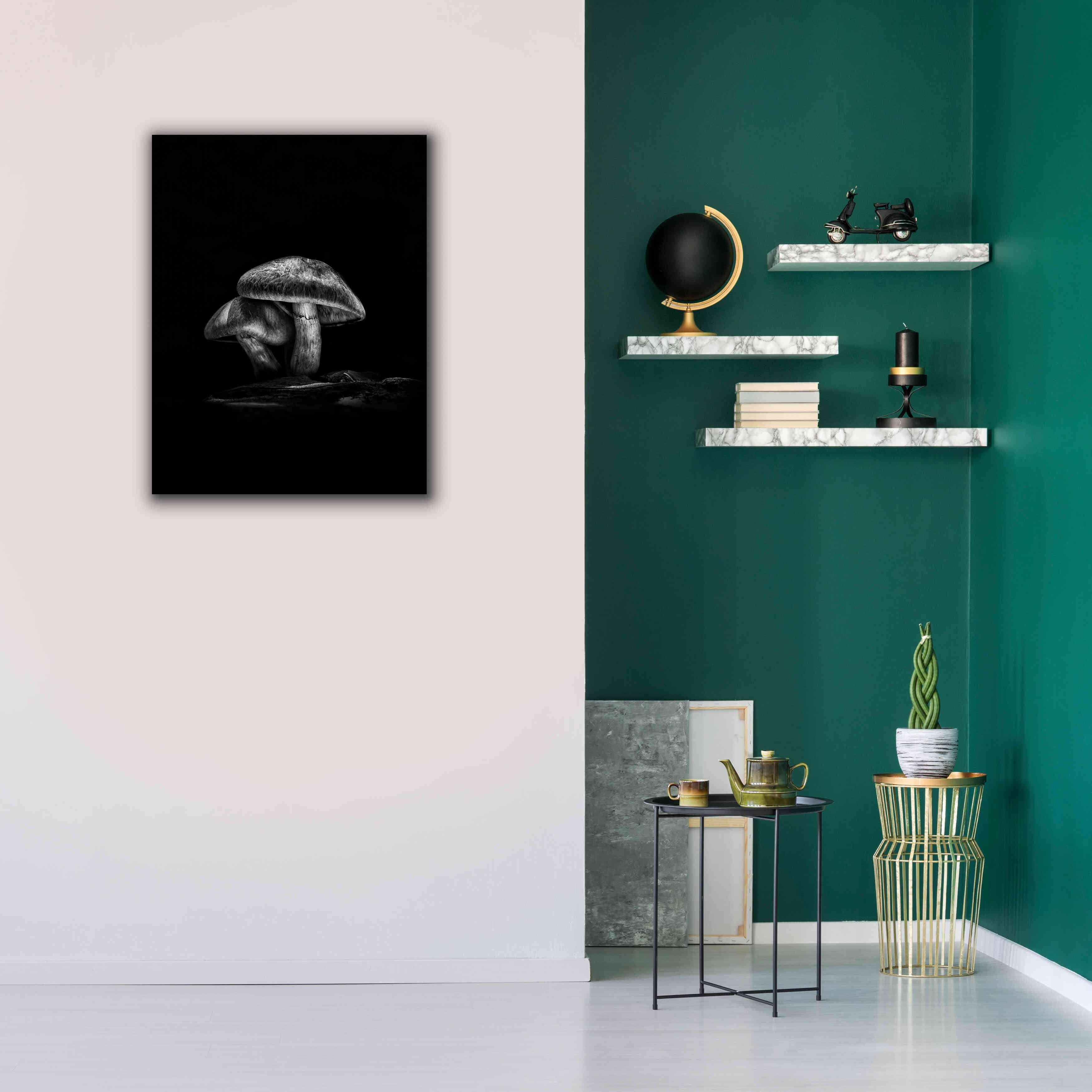 'Toadstools On A Trail No 2' by Brian Carson, Giclee Canvas Wall Art,26 x 34