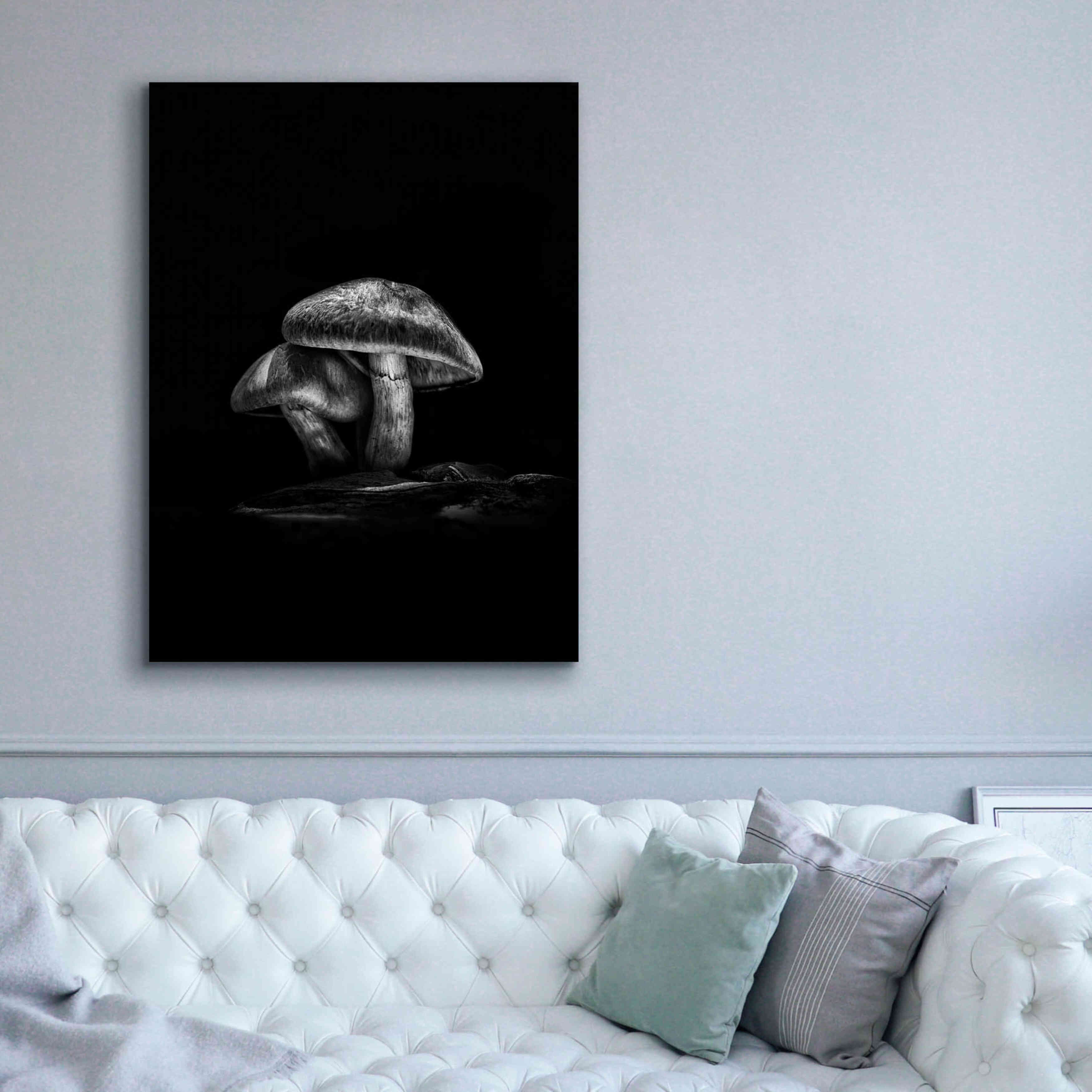 'Toadstools On A Trail No 2' by Brian Carson, Giclee Canvas Wall Art,40 x 54