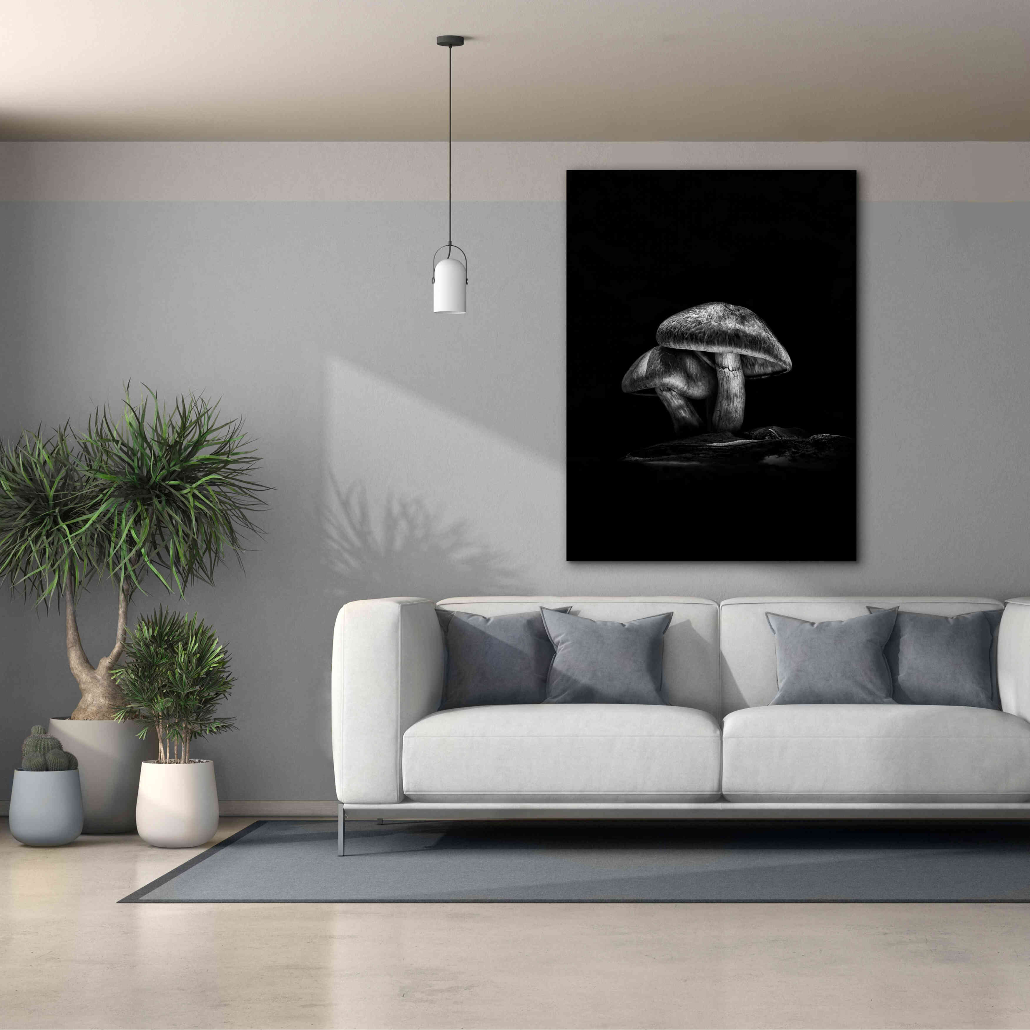 'Toadstools On A Trail No 2' by Brian Carson, Giclee Canvas Wall Art,40 x 54