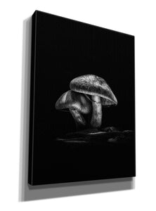 'Toadstools On A Trail No 2' by Brian Carson, Giclee Canvas Wall Art