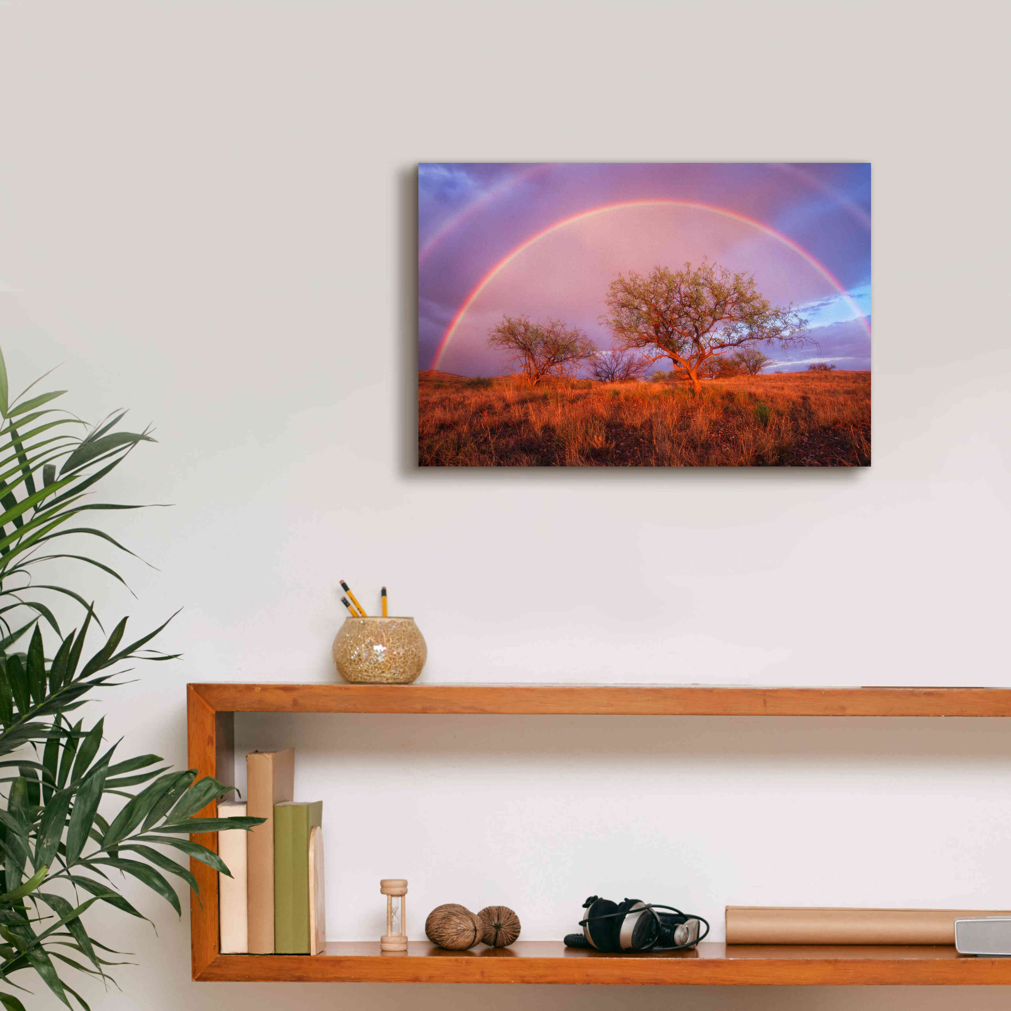'Arizona Rainbow' by Thomas Haney, Giclee Canvas Wall Art,18 x 12