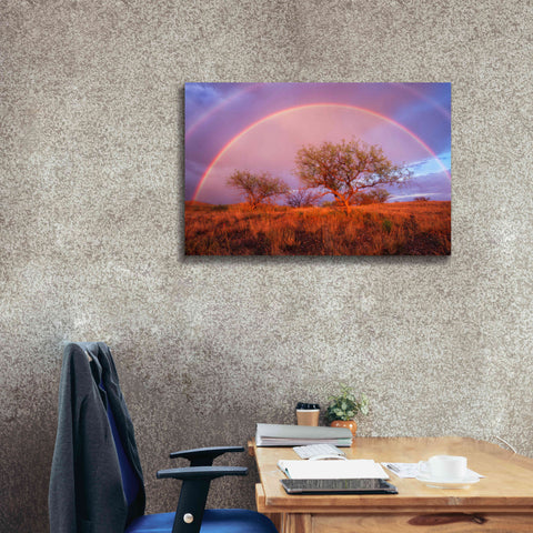Image of 'Arizona Rainbow' by Thomas Haney, Giclee Canvas Wall Art,40 x 26