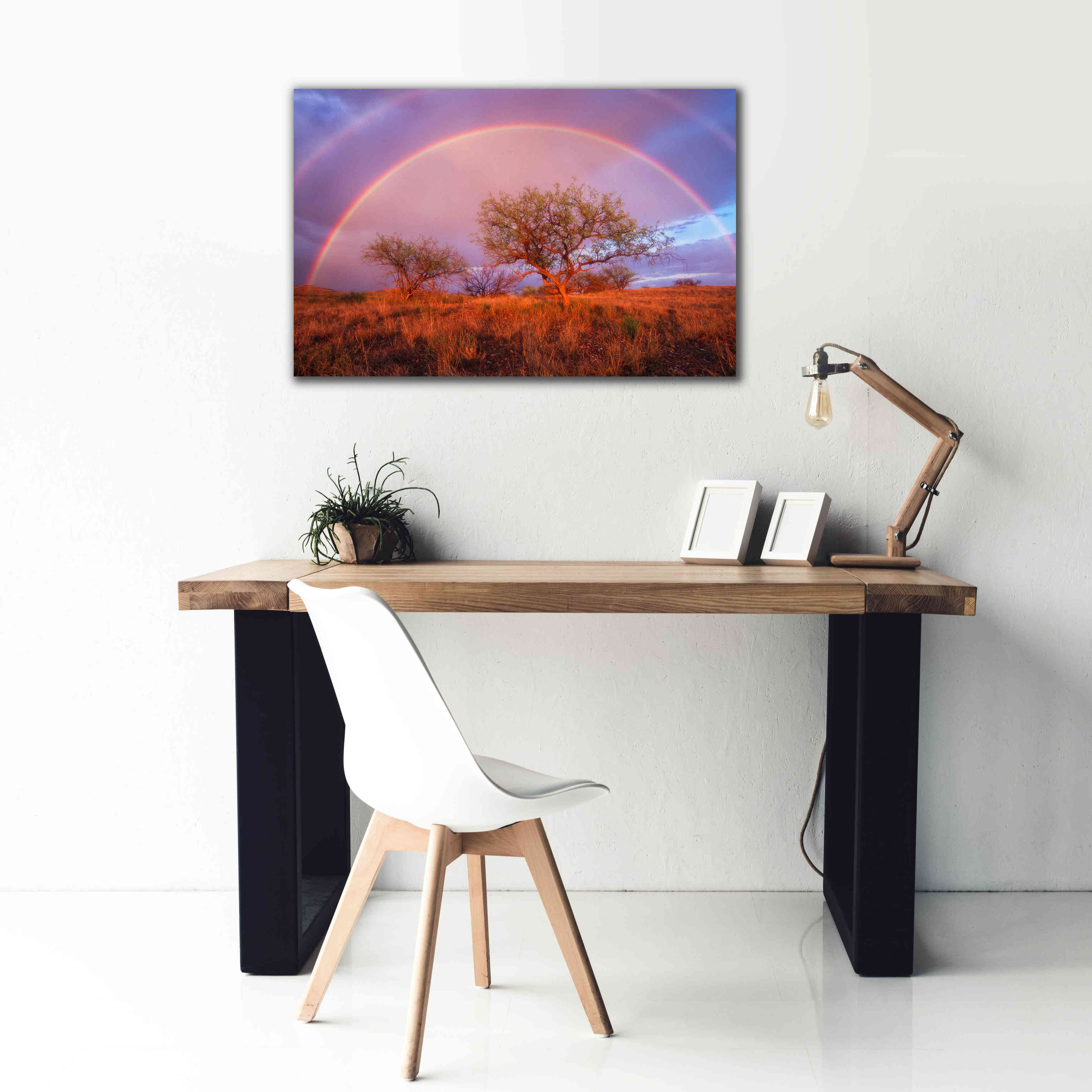 'Arizona Rainbow' by Thomas Haney, Giclee Canvas Wall Art,40 x 26