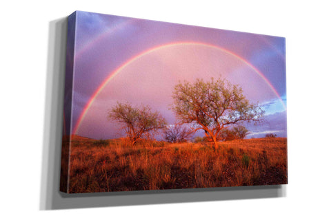 Image of 'Arizona Rainbow' by Thomas Haney, Giclee Canvas Wall Art