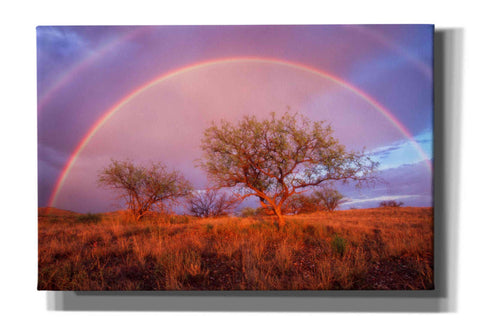 Image of 'Arizona Rainbow' by Thomas Haney, Giclee Canvas Wall Art