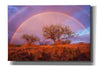 'Arizona Rainbow' by Thomas Haney, Giclee Canvas Wall Art