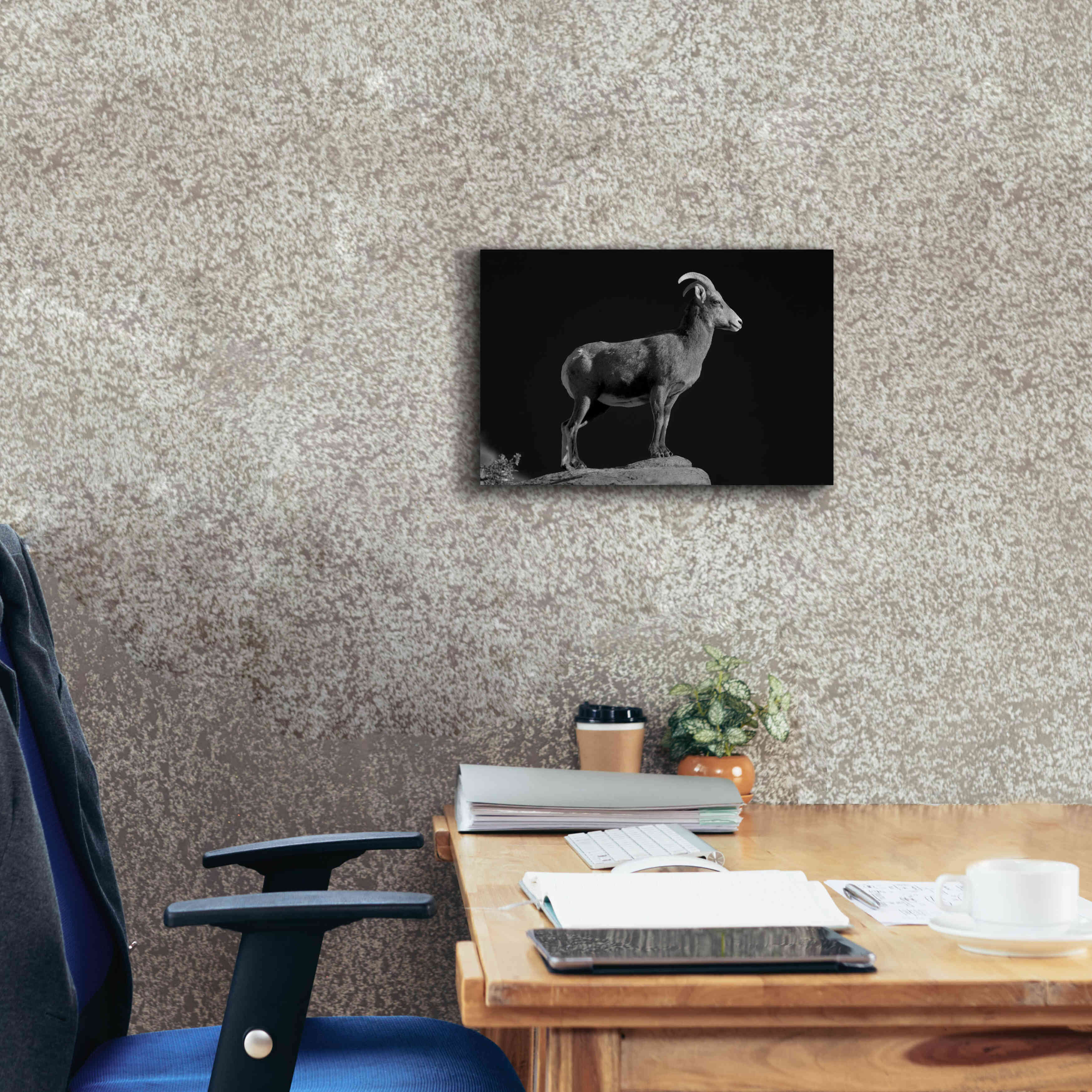 'Bighorn Portrait Cf' by Thomas Haney, Giclee Canvas Wall Art,18 x 12