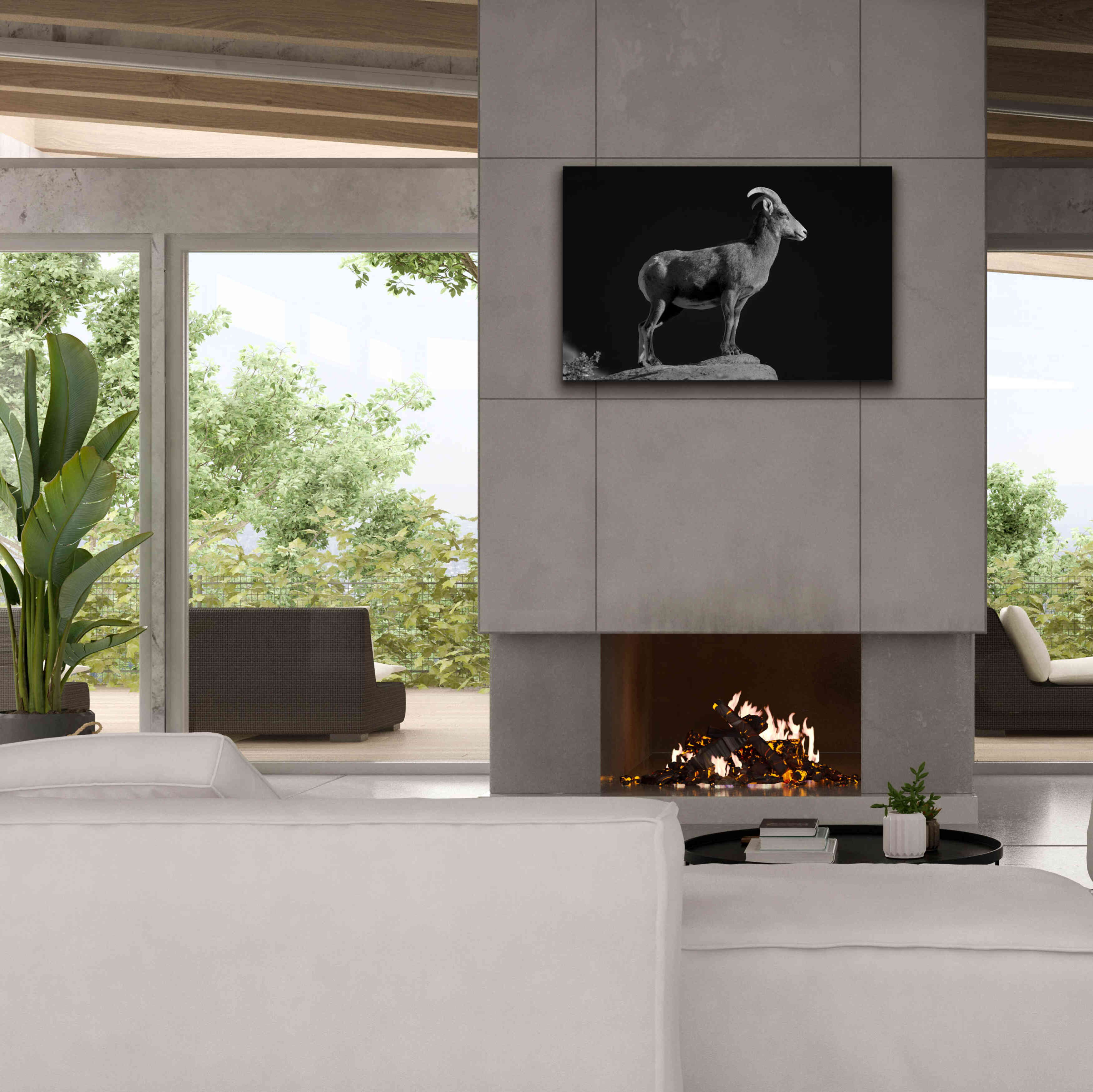 'Bighorn Portrait Cf' by Thomas Haney, Giclee Canvas Wall Art,40 x 26