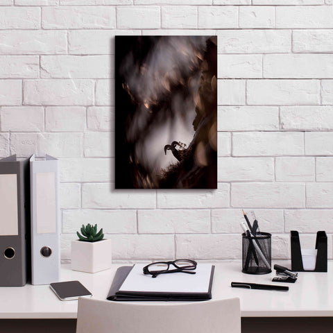 Image of 'Bighorn Silhouette Best' by Thomas Haney, Giclee Canvas Wall Art,12 x 18