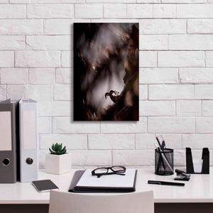'Bighorn Silhouette Best' by Thomas Haney, Giclee Canvas Wall Art,12 x 18