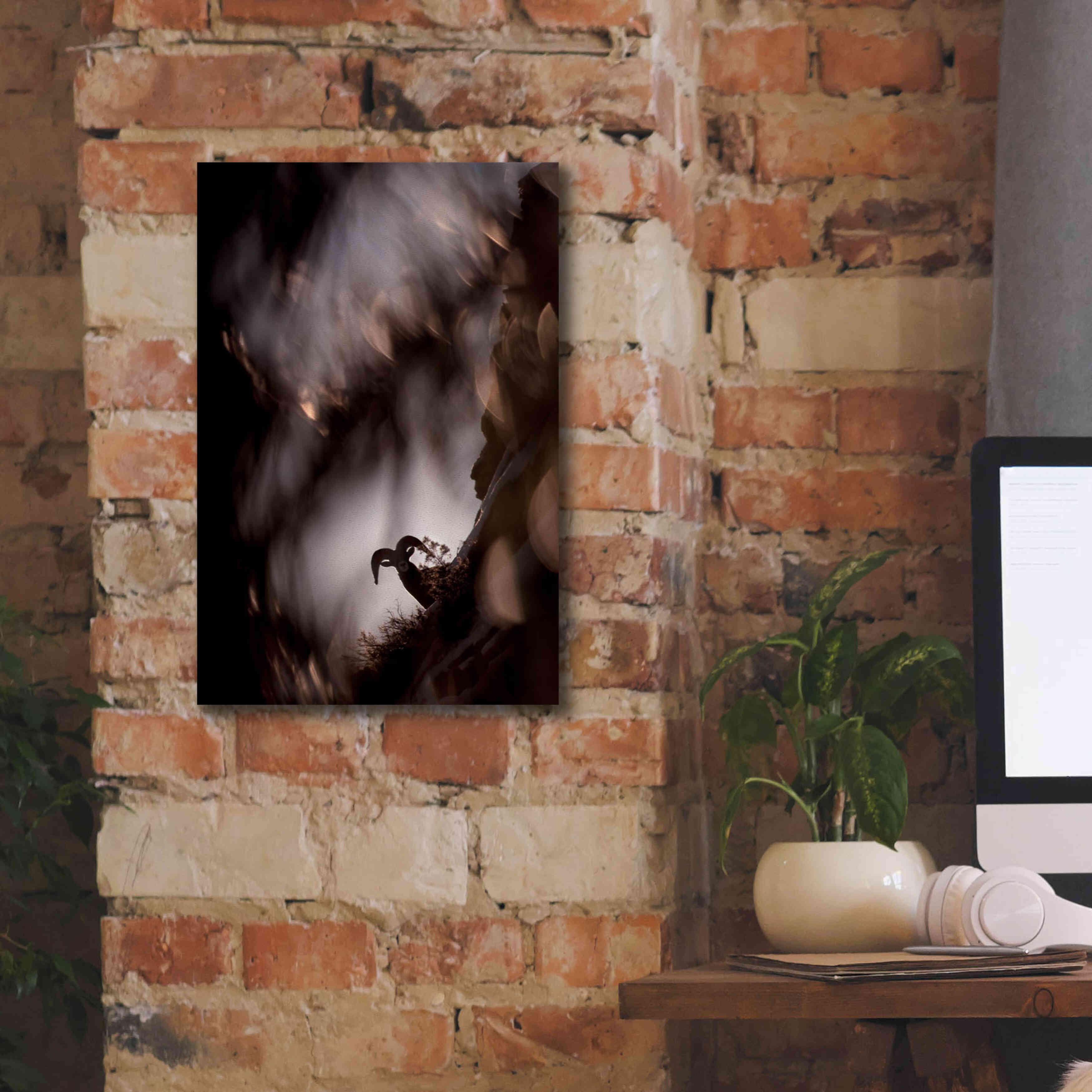 'Bighorn Silhouette Best' by Thomas Haney, Giclee Canvas Wall Art,12 x 18