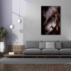 'Bighorn Silhouette Best' by Thomas Haney, Giclee Canvas Wall Art,40 x 60