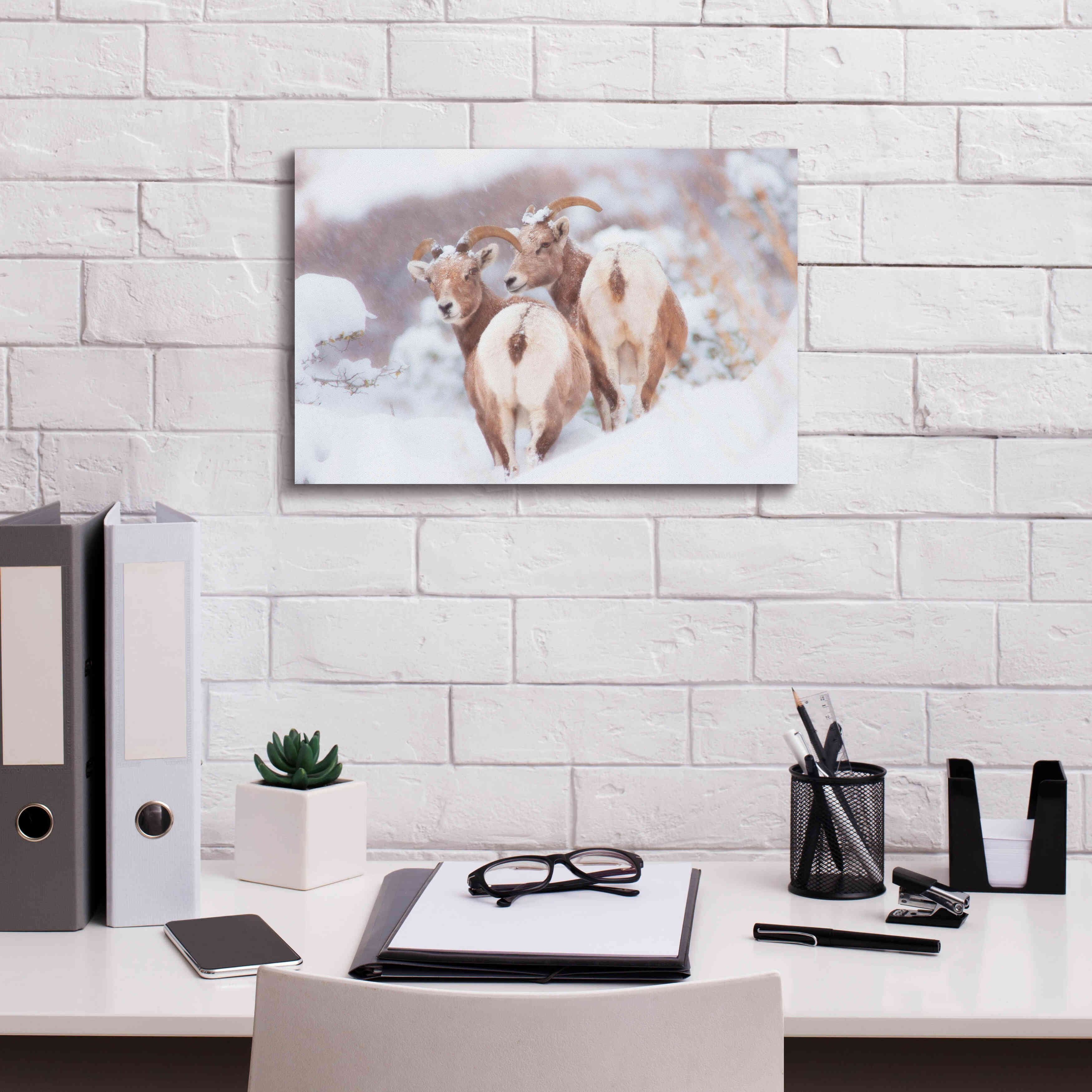 'Bighorns Two' by Thomas Haney, Giclee Canvas Wall Art,18 x 12