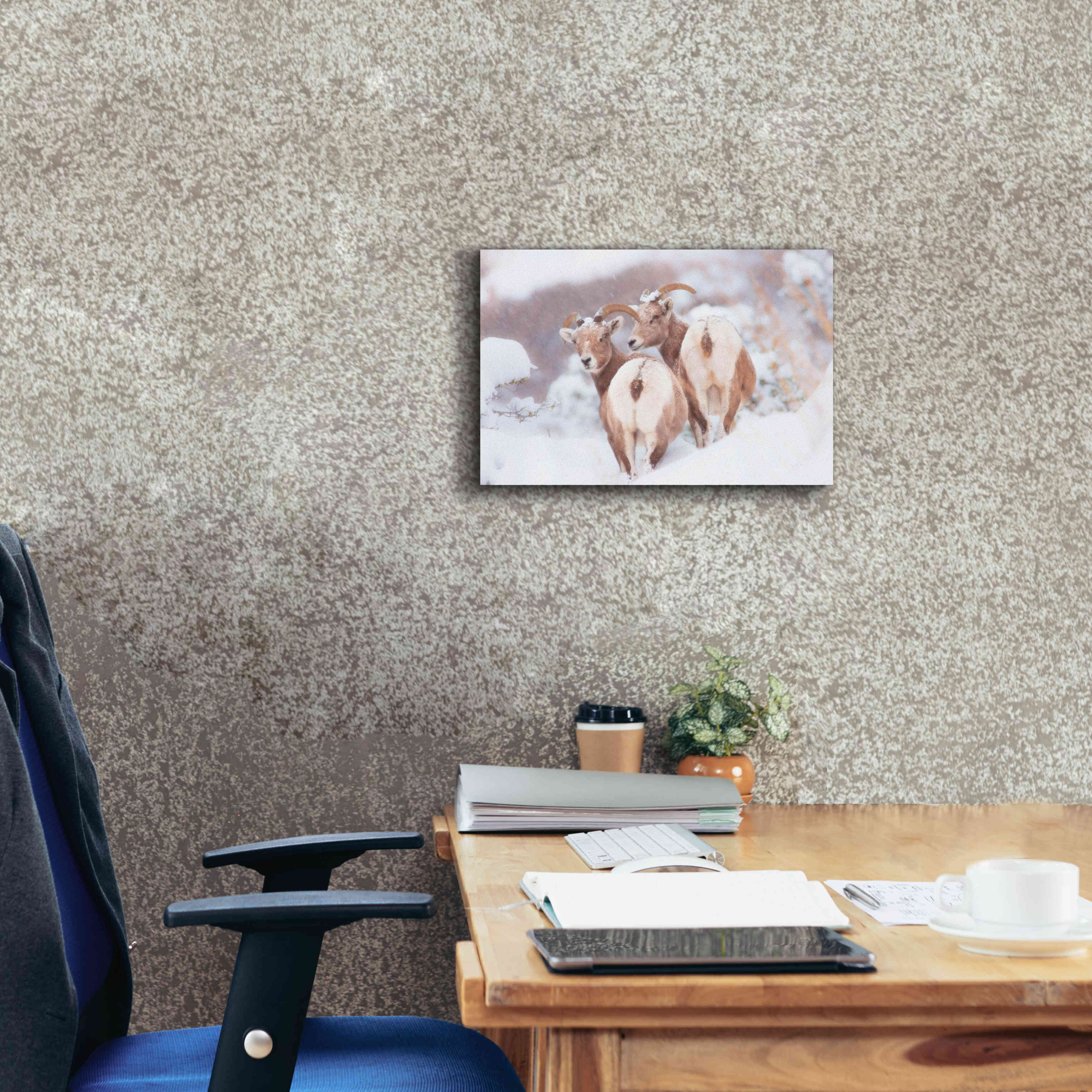 'Bighorns Two' by Thomas Haney, Giclee Canvas Wall Art,18 x 12