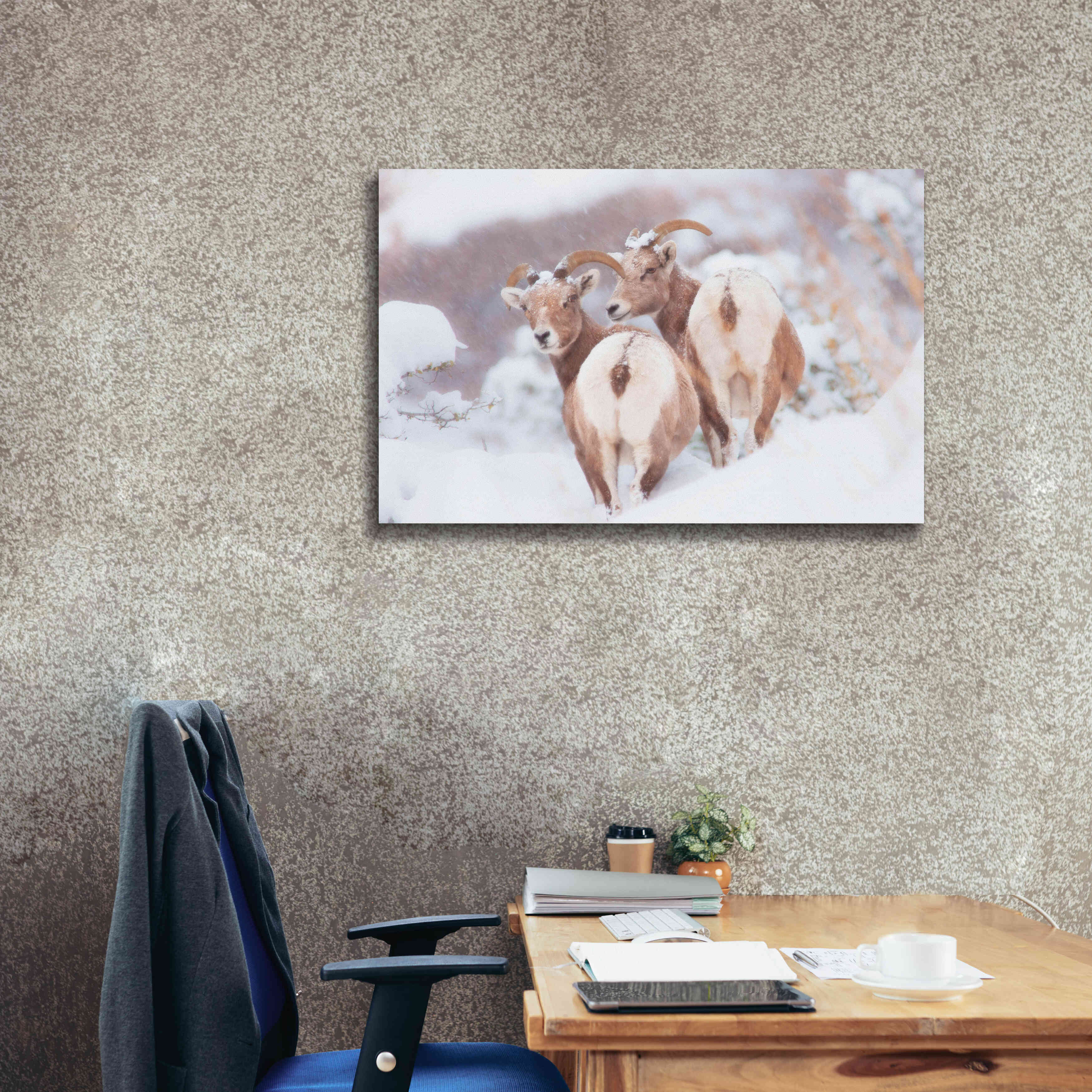 'Bighorns Two' by Thomas Haney, Giclee Canvas Wall Art,40 x 26