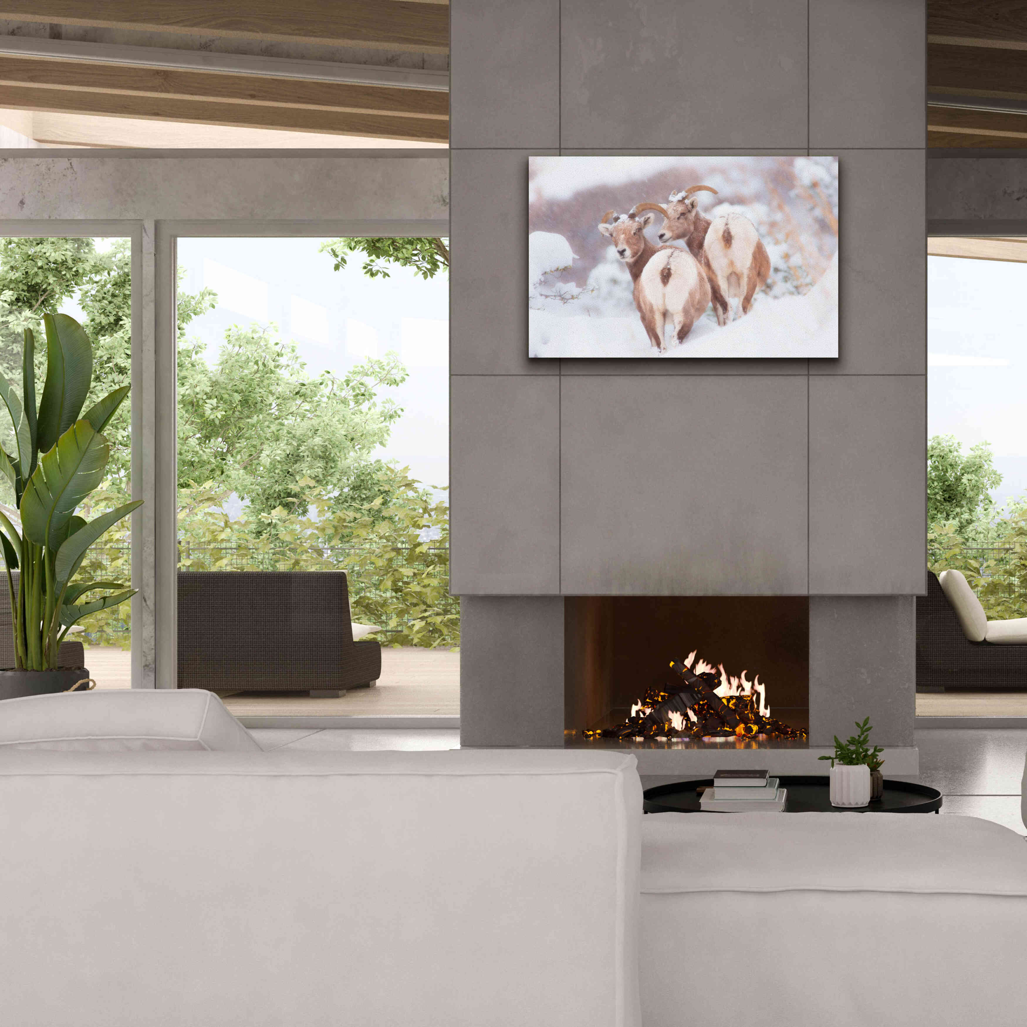 'Bighorns Two' by Thomas Haney, Giclee Canvas Wall Art,40 x 26