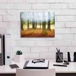 'Blurred Trees' by Thomas Haney, Giclee Canvas Wall Art,16 x 12