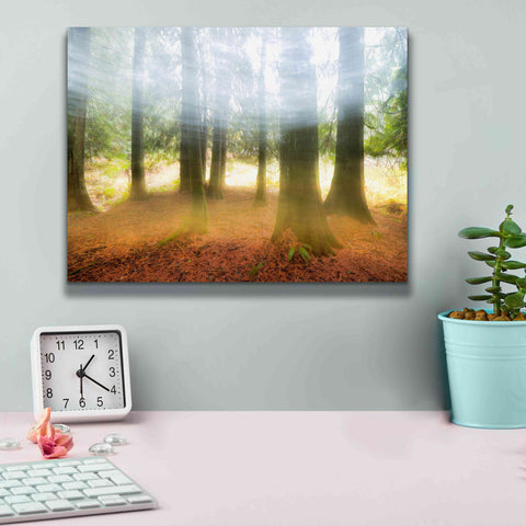 Image of 'Blurred Trees' by Thomas Haney, Giclee Canvas Wall Art,16 x 12