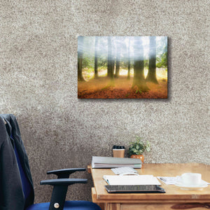 'Blurred Trees' by Thomas Haney, Giclee Canvas Wall Art,26 x 18