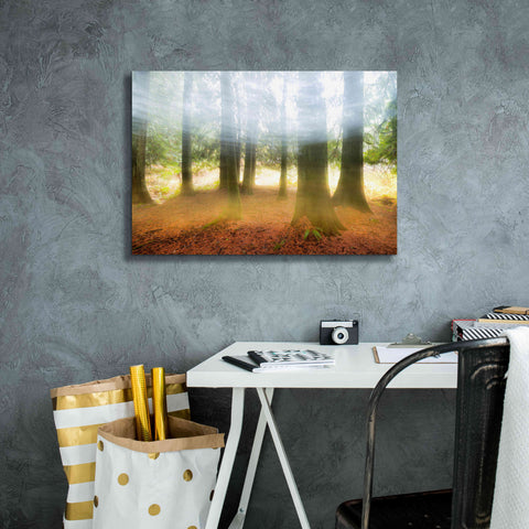 Image of 'Blurred Trees' by Thomas Haney, Giclee Canvas Wall Art,26 x 18
