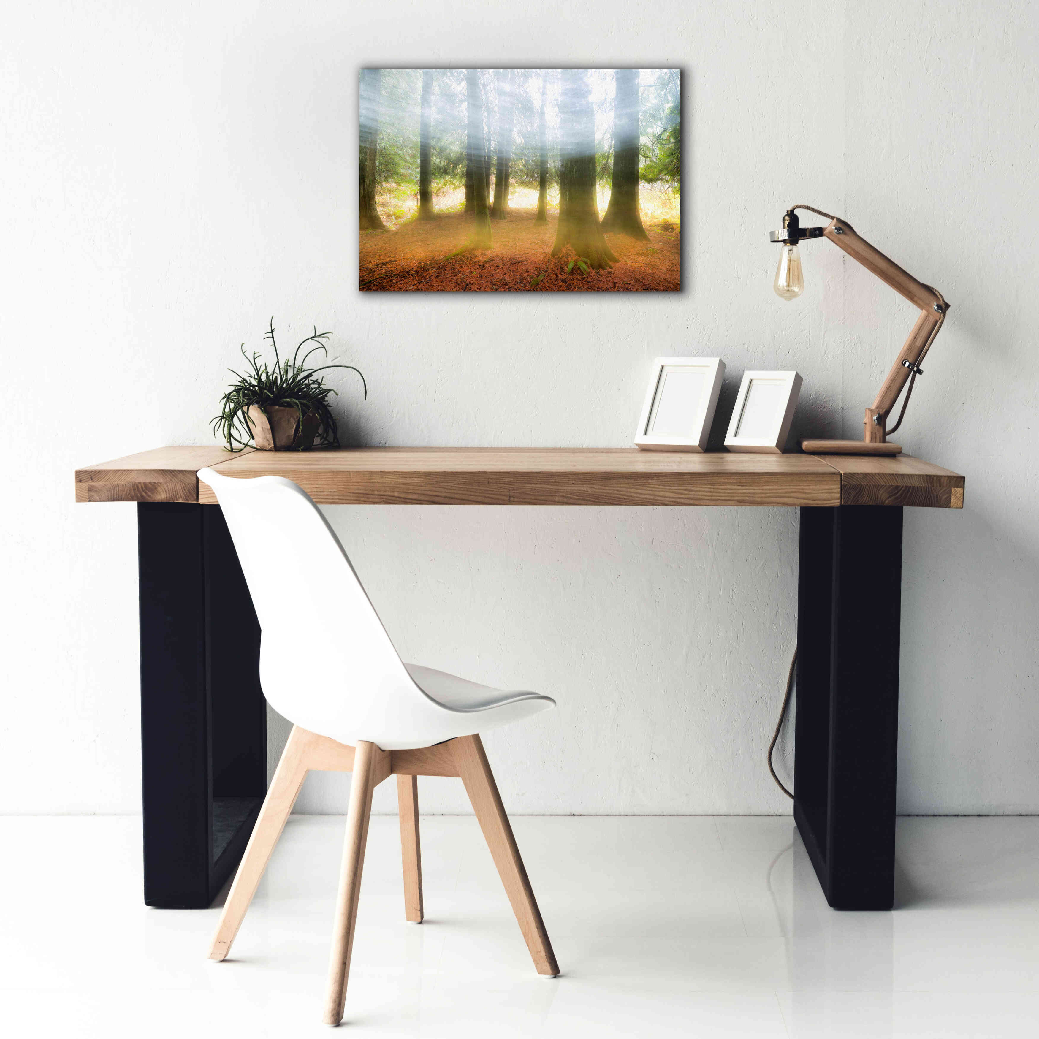 'Blurred Trees' by Thomas Haney, Giclee Canvas Wall Art,26 x 18