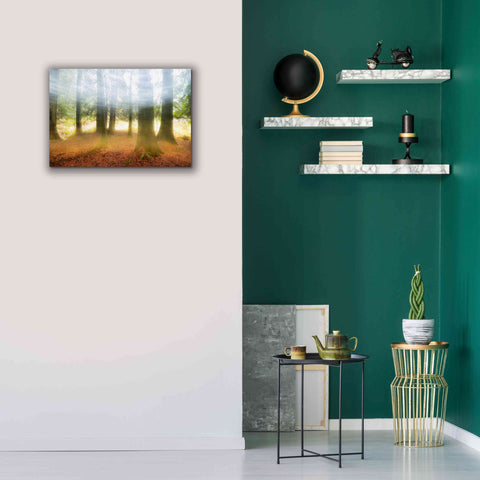 Image of 'Blurred Trees' by Thomas Haney, Giclee Canvas Wall Art,26 x 18