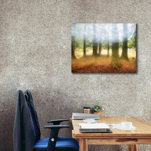 Image of 'Blurred Trees' by Thomas Haney, Giclee Canvas Wall Art,34 x 26