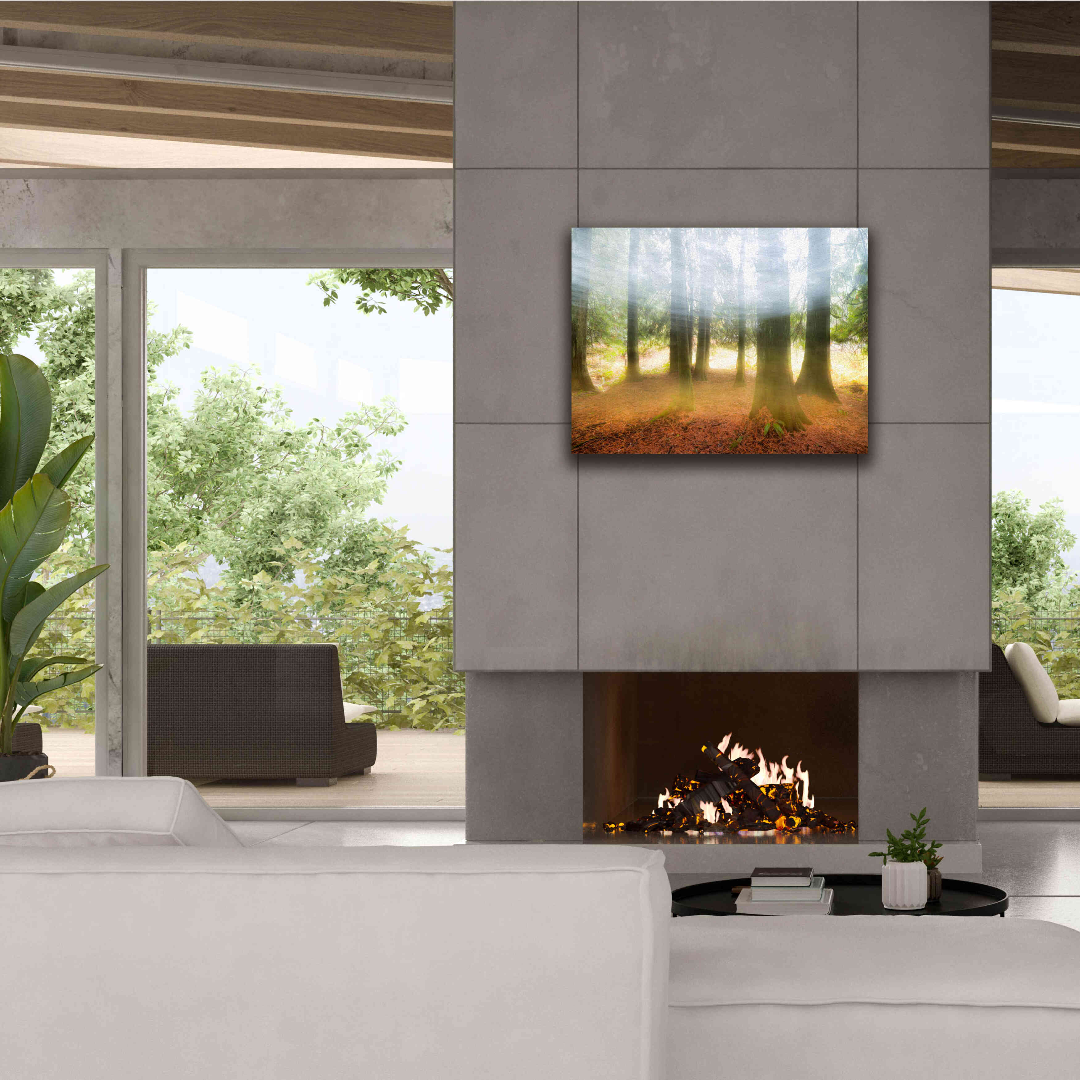 'Blurred Trees' by Thomas Haney, Giclee Canvas Wall Art,34 x 26