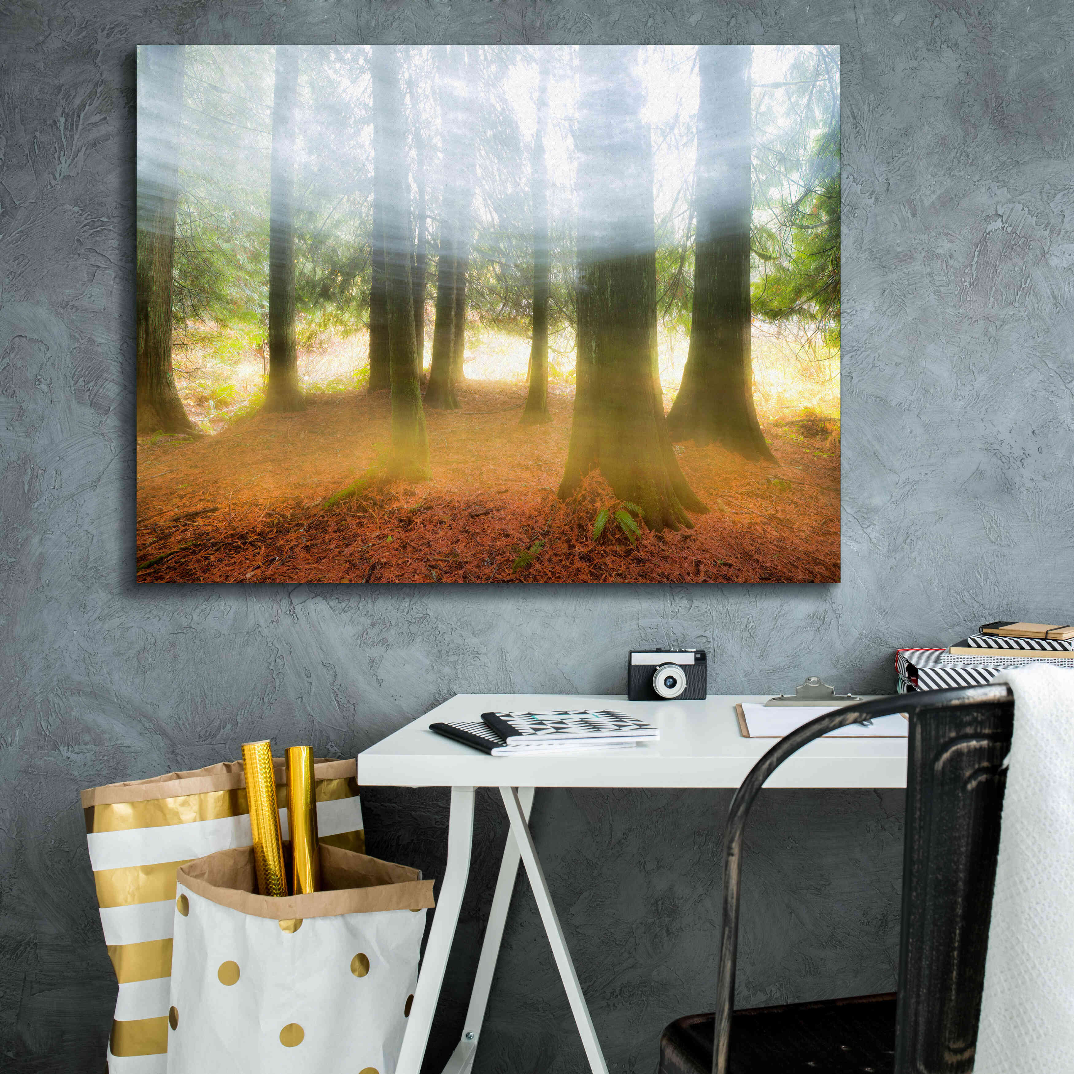 'Blurred Trees' by Thomas Haney, Giclee Canvas Wall Art,34 x 26