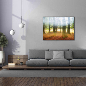 'Blurred Trees' by Thomas Haney, Giclee Canvas Wall Art,54 x 40