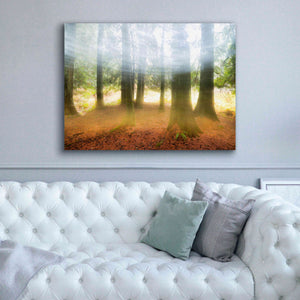 'Blurred Trees' by Thomas Haney, Giclee Canvas Wall Art,54 x 40