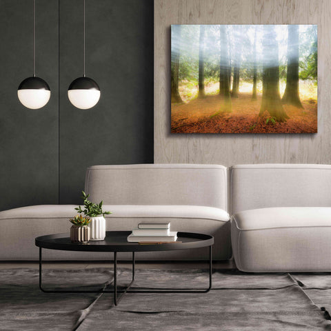 Image of 'Blurred Trees' by Thomas Haney, Giclee Canvas Wall Art,54 x 40