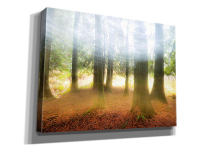 'Blurred Trees' by Thomas Haney, Giclee Canvas Wall Art