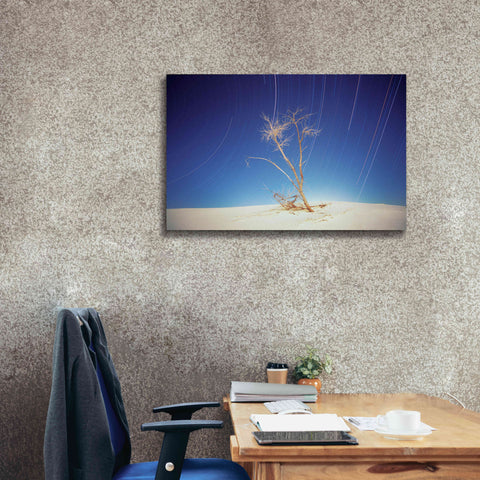 Image of 'Bright Cottonwood Drum Scan' by Thomas Haney, Giclee Canvas Wall Art,40 x 26