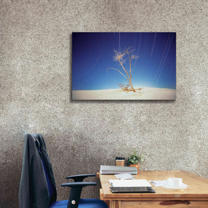 'Bright Cottonwood Drum Scan' by Thomas Haney, Giclee Canvas Wall Art,40 x 26