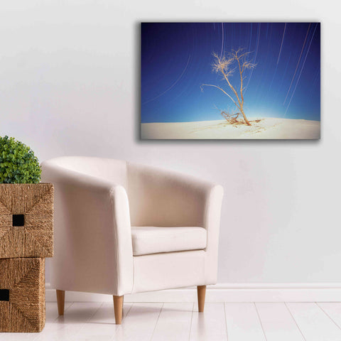 Image of 'Bright Cottonwood Drum Scan' by Thomas Haney, Giclee Canvas Wall Art,40 x 26