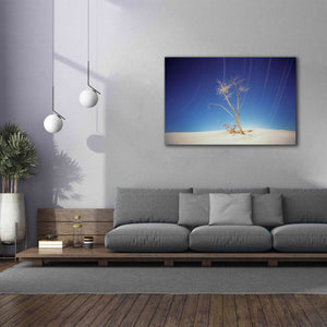 'Bright Cottonwood Drum Scan' by Thomas Haney, Giclee Canvas Wall Art,60 x 40